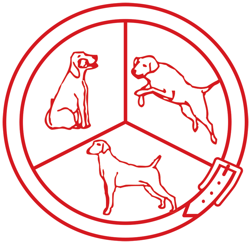 The Glens Falls Kennel Club