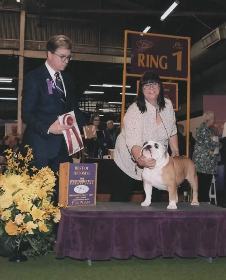 Conformation Classes The Glens Falls Kennel Club
