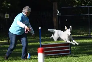 Go TEAM LILY & SUSAN